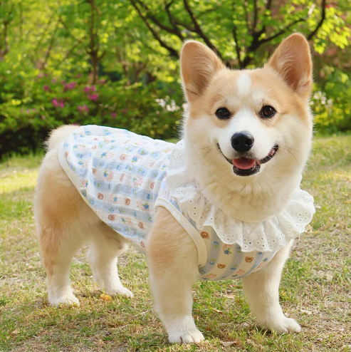 wechat_2025-07-18_085504_677